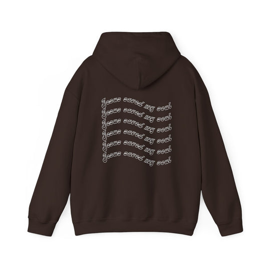 Jesus Saved My Soul Hoodie